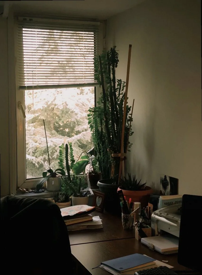 室内植物と窓の外の雪が見える、温かみのあるホームオフィスで居心地の良い雰囲気を醸し出している。